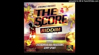 Jerry Spinit (Dancehall Syndicate) &ndash; Bad Gal Rider [The Score Riddim] March 2017 [HD]