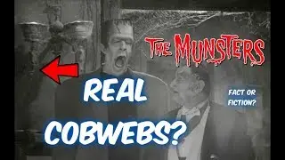 FACT OR FICTION: The Munsters--Did They Use REAL Spiderwebs on the show?