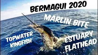 Bermagui 2020 Insane Kingfish bite on topwater & Marlin bite
