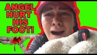 ВНИМАНИЕ, КРОВОТЕЧЕНИЕ! КАК ОКАЗАТЬ ПЕРВУЮ ПОМОЩЬ ПРИ ТРАВМЕ ЛАПКИ ПОПУГАЯ!
