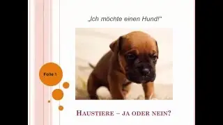 ZB1 Goethe/ÖSD: Ein Thema präsentieren - Haustiere