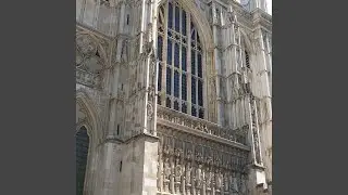 DEMONSTRATION (Special Version)