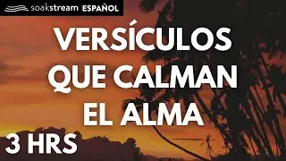 Las Promesas de Dios | Versiculos Biblicos Para Dormir