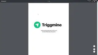 Triggmine - обзор WhitePaper!