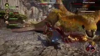Dragon Duels ~ Fereldan Frostback