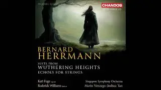 Bernard Herrmann arr. Hans S&oslash;rensen : Echoes, arranged for string orchestra (1965 arr. 2011)