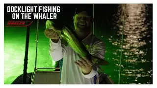 Snook Fishing at Night on a 17' Whaler. ISO the Dock Light Bite!