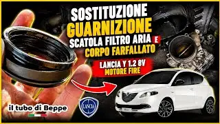 Risolto problema mancata accensione cilindro 1-2-3-tombola! Motore 1.2 8v New Lancia Ypsilon #motori