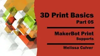 3D Print Basics - Part 05 [MakerBot Print & Supports]