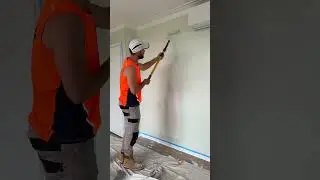 Auckland painter ￼
