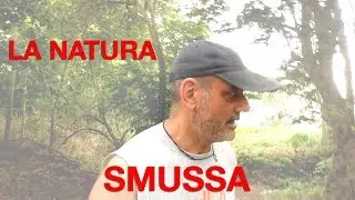 🍃 Impara dalla Natura: Smussare gli Angoli per Relazioni Pi&ugrave; Fluide e Serene 🤝