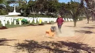 seeding
