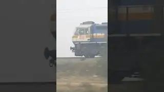 TKD WDP-4D with Anand Vihar Terminal - Rewa Superfast Express