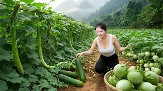 REWIND TIMELAPSE — Harvesting 500+Kg Giant Snake Gourd & Garden Egg Go To Market Sell