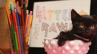 How to Frame Embroidery | Kin Community