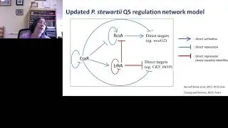 Studying Environmental Sensing and Response in a Bacterial Plant Pathogen - Inside Out