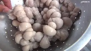 อุ๊เพี้ยไส้ขอดวัวขมๆ สูตรอีสานนัวลึก(ขี้อ่อน) BYหนอนปอ.TG