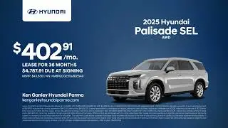 Hyundai Palisade 08/17/2024 4201963