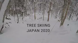 STRAWBERRY FIELDS, NISEKO JAPAN | GO PRO HERO 5 | RAW SKI FOOTAGE | 2.7K HD