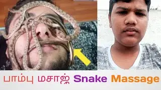 பாம்பு மசாஜ் Snake Massage | DINDOTDINESH