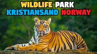 WILDLIFE Park in Kristiansand Norway visit - Dyreparken