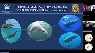 Sinapsis 2025 | G. Bosio, The paleontological heritage of the Ica Desert (Southern Peru)