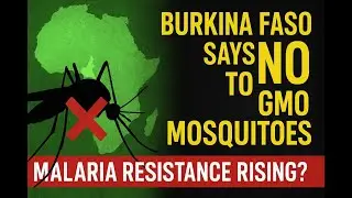 Burkina Faso Rejects Bill Gates&rsquo; GMO Mosquito Plan | Rising Malaria Resistance in Africa