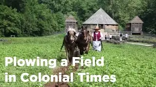 18th-Century Field Plowing Techniques