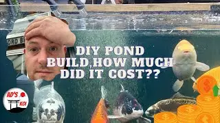 DIY sleeper koi pond build,how much did it cost? (So far) 💰💰💰
