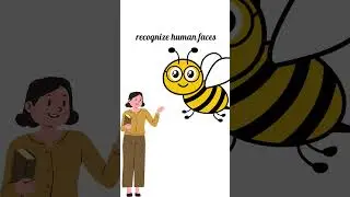 A honeybee can recognize human faces  #youtubeshorts #facts