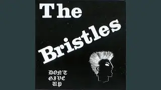 Bristles Song