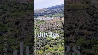 Juviles YT