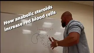 How anabolic steroids can increase red blood cell production