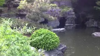 SARRO: Japanese Garden at Brooklyn Botanic Garden - Serenity of a Healthy Walk - Mary Jo Sarro .com