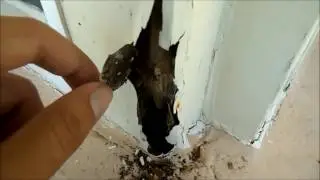 Home Check Inspections | Tampa Home Inspection Services