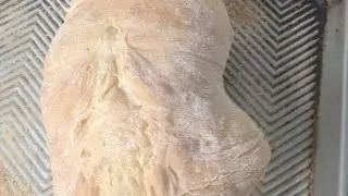 Rustic Italian Bread