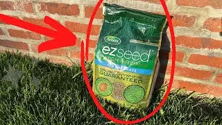 Scotts EZ Seed Patch and Repair Солнце и тень для травы &mdash; 1 минутный обзор