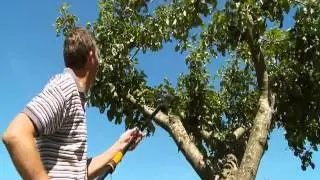 FISKARS Universal Garden Cutters UP86 UP82