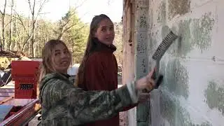 How to make your log yard look it’s best