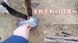 それぞれの日常へ【シャモ】