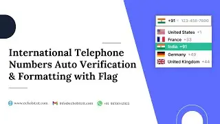 Advanced International Phone Number Input Field | Auto Country Detection & Validation | Odoo