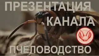 Channel presentation. Catching bee swarms. Swarm trap. Beekeeping. I'm starting
