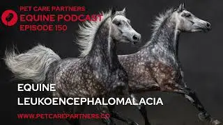 EP. 150: Лейкоэнцефаломаляция у лошадей | Объяснение отравления плесневелой кукурузой | Pet Care ...