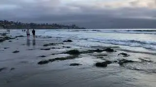 La Jolla Shores Surf Spot Review