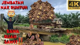 lori bim buah sawit jalan di jambatan yang nak runtuh selepas surutnya banjir🤯#lorisawit#anakrantau