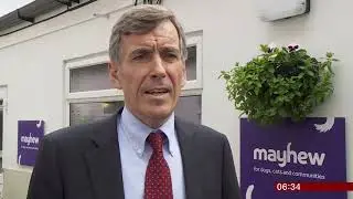 Puppy sale 'Lucy' law comes into force (UK) - BBC News - 13th May 2019