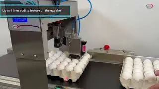EP 121 Egg Coding Machine