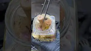 Recicla tus corchos de vino para prender el carb&oacute;n
