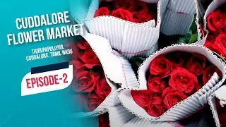 Cuddalore flower market tour | Episode 2  | 4k | Cuddalore