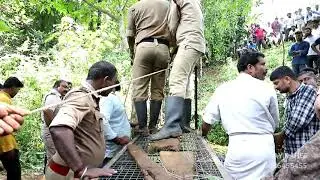 LEOPARD ATTACK IN LOCAL VILLAGE RAYEE